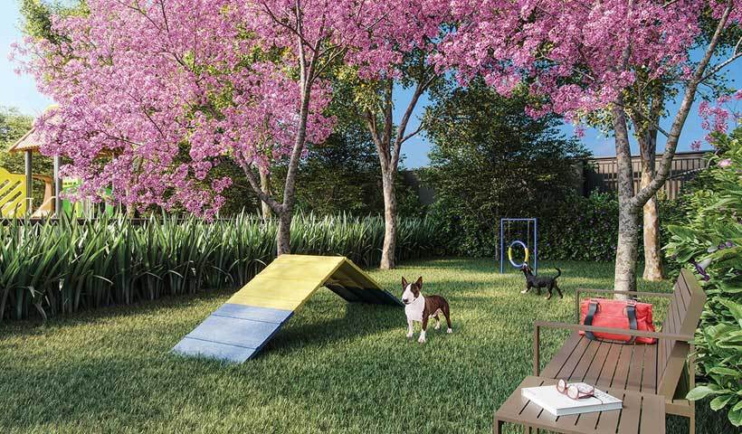 Condomínio com Pet Place para seus Cachorros ou Gatos - Gran Maia Giardino